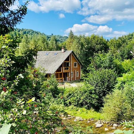 MySynevyr - будинок у серці Карпат Экстерьер фото