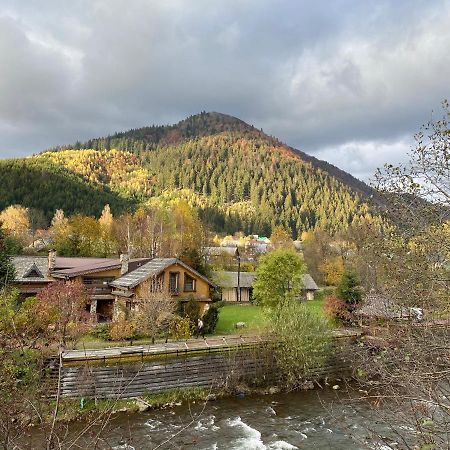 MySynevyr - будинок у серці Карпат Экстерьер фото