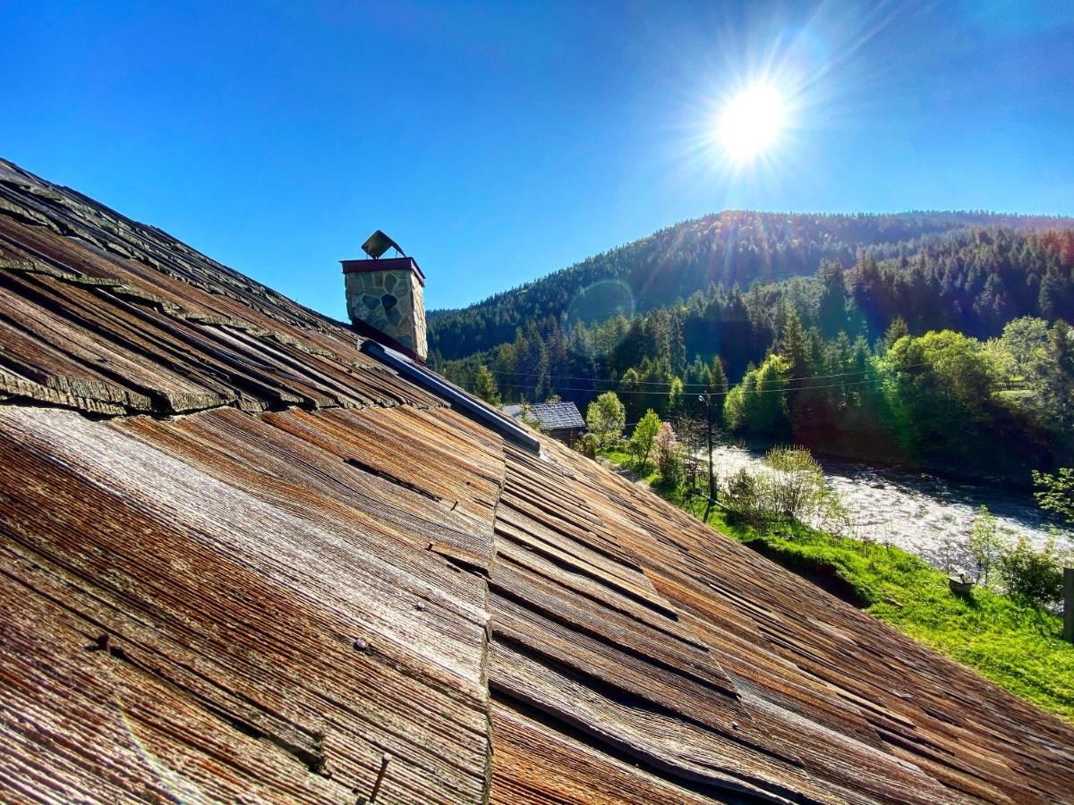 MySynevyr - будинок у серці Карпат Экстерьер фото
