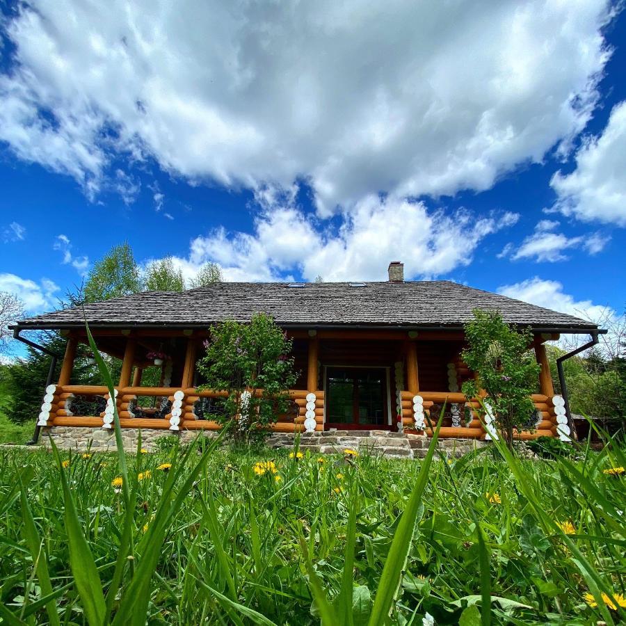 MySynevyr - будинок у серці Карпат Экстерьер фото