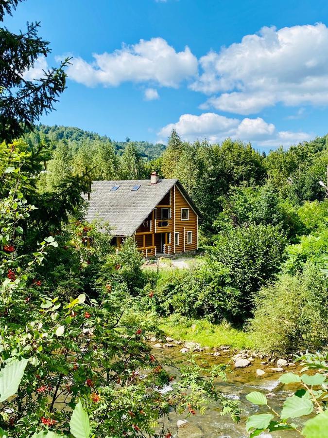 MySynevyr - будинок у серці Карпат Экстерьер фото
