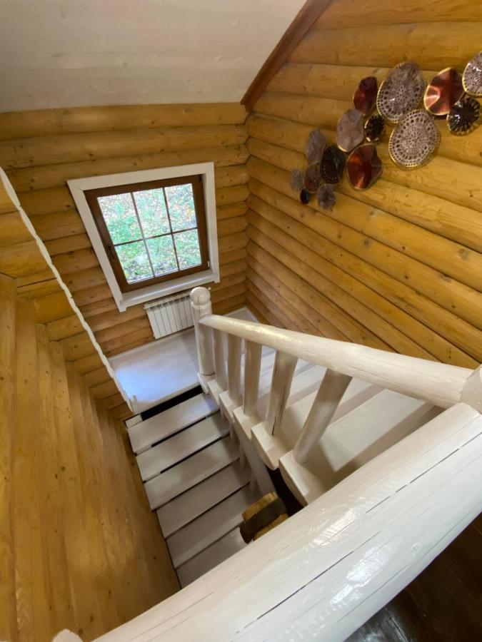 MySynevyr - будинок у серці Карпат Экстерьер фото